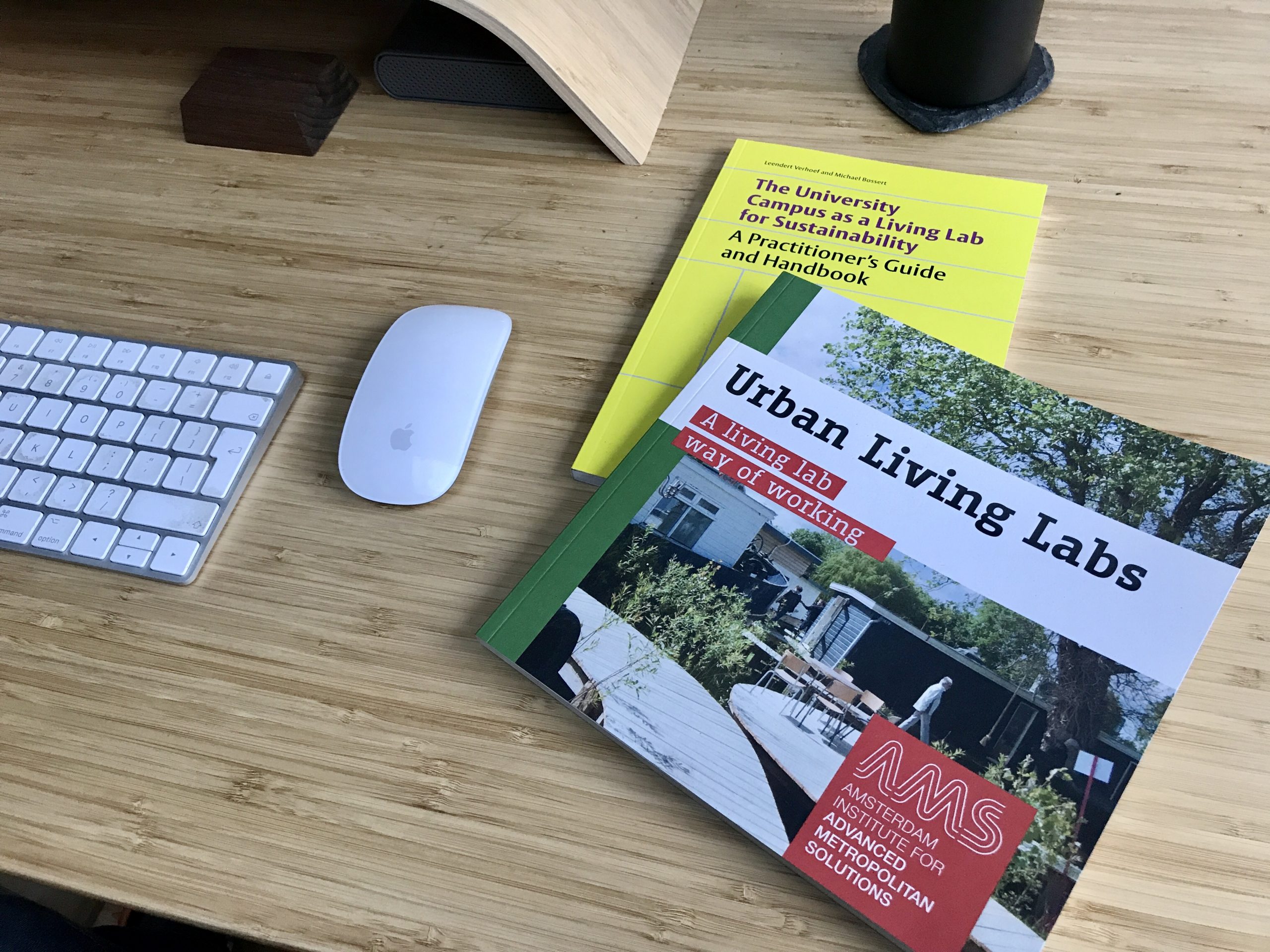 AMS Urban Living Labs