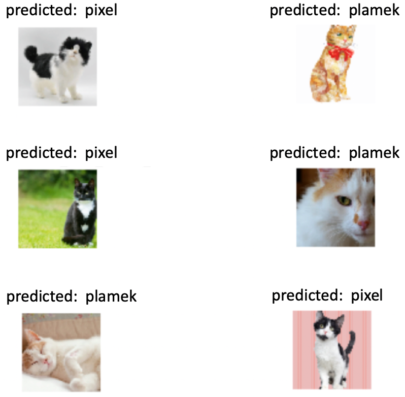 Inference