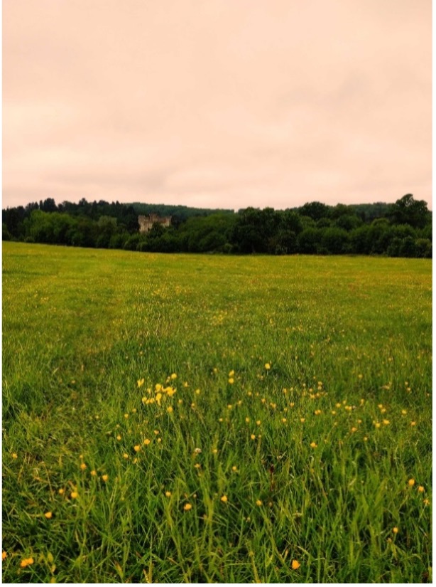 EMF festival campsite overlooking Eastnor castle