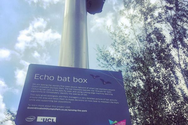 Echo Box signage