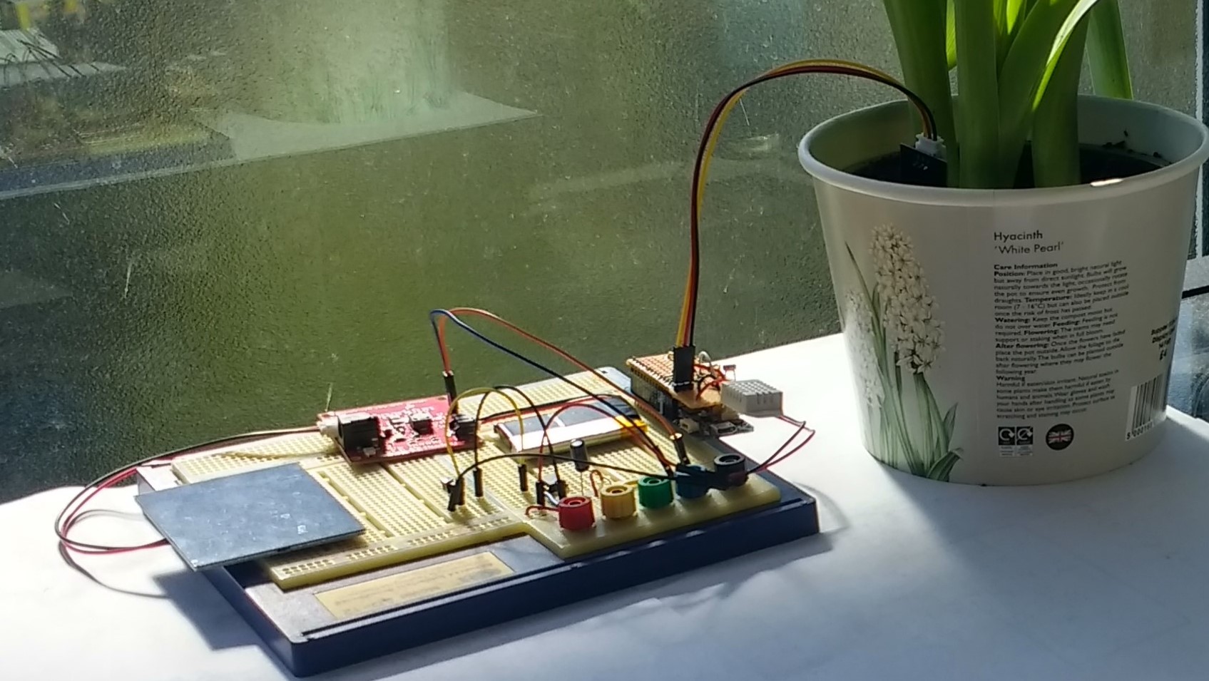 organ Betjening mulig trist Making a Plant Monitor – UCL Connected Environments