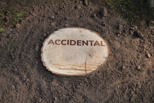 Photograph of a wood roundel with the word Accidental etched into it