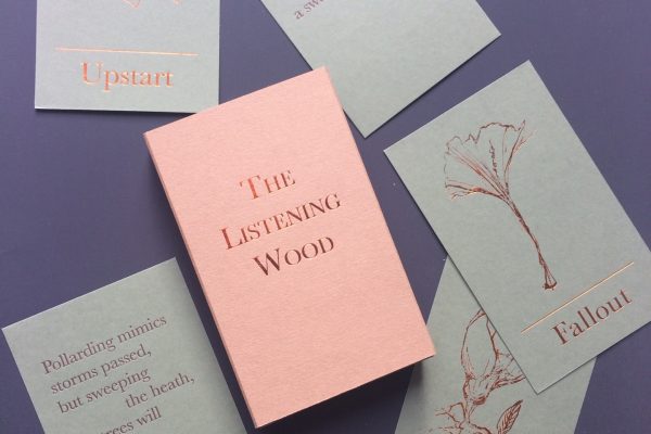 The Listening Wood, limited edition card deck (2019)