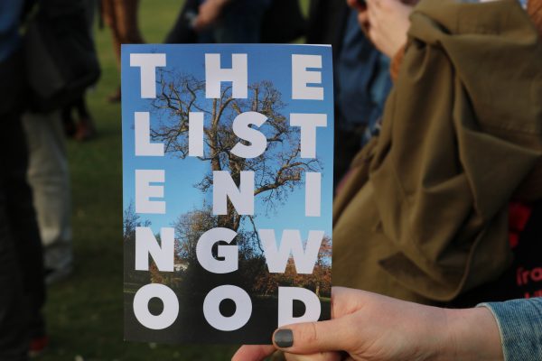 Hand holding a printed brochure with the title The Listening Wood