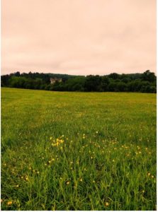 EMF festival campsite overlooking Eastnor castle