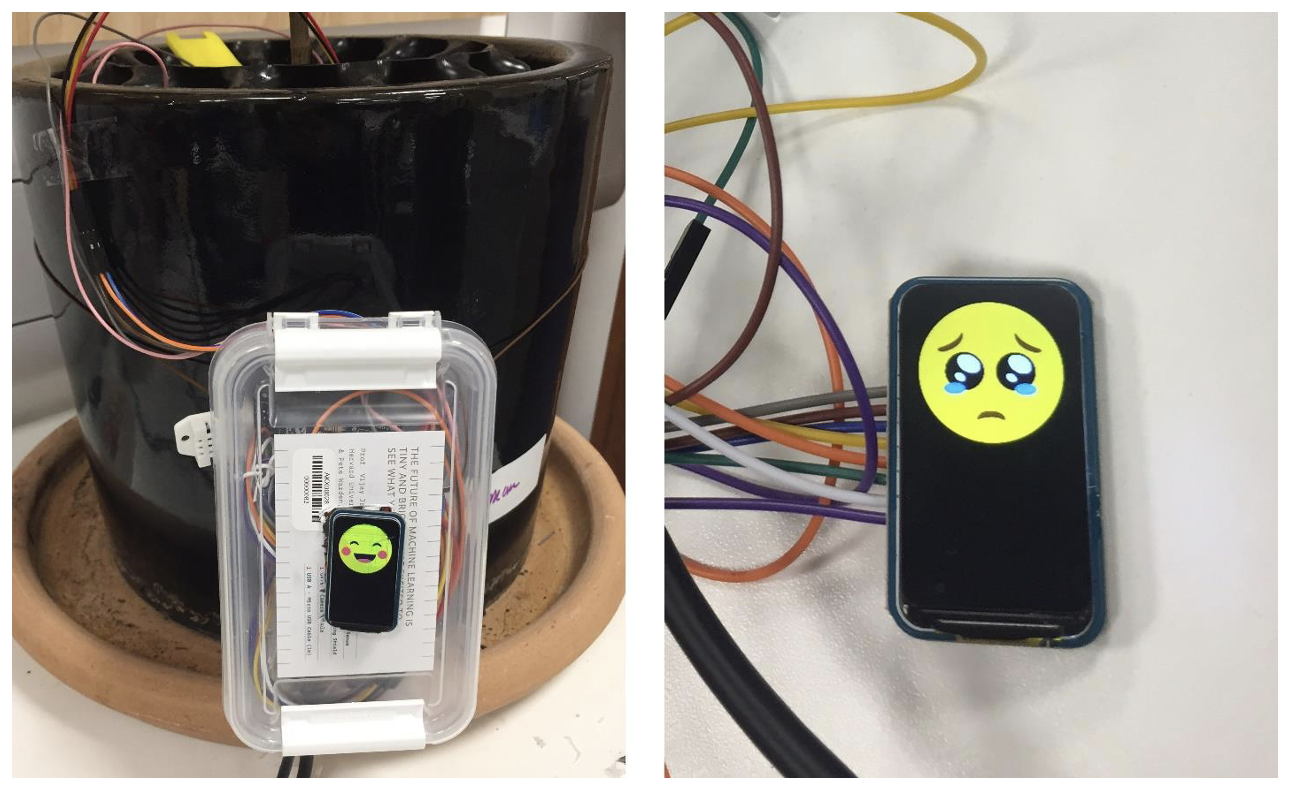What place our world might have for an emoji-talking plant and similar connected devices?